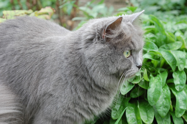 äußerste Konzentration bitte.jpg